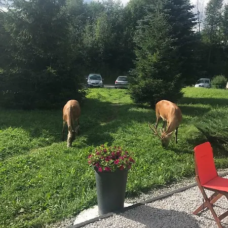 Admi Zakopane Villa Eksteriør bilde